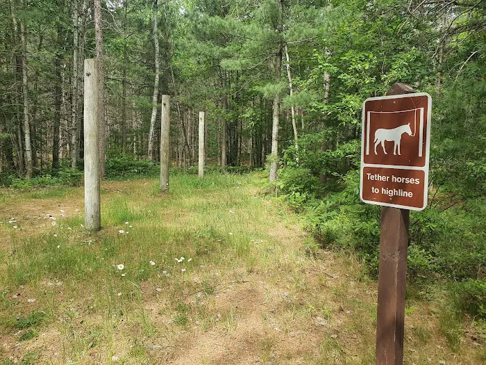 Swan Lake Campsite 1 and Boat Ramp Picture 4
