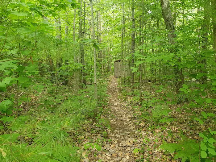 Swan Lake Campsite 1 and Boat Ramp Picture 8