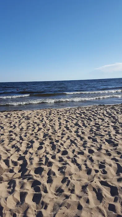 MANISTIQUE - RAPID RIVER DISPERSED CAMPSITES Picture 2