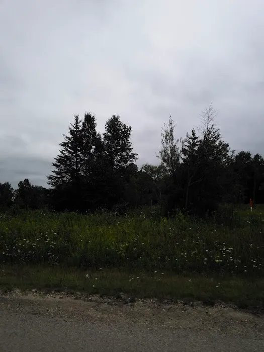 MANISTIQUE - RAPID RIVER DISPERSED CAMPSITES Picture 1