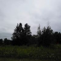 MANISTIQUE - RAPID RIVER DISPERSED CAMPSITES ico