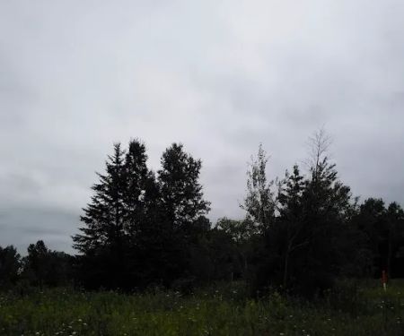 MANISTIQUE - RAPID RIVER DISPERSED CAMPSITES