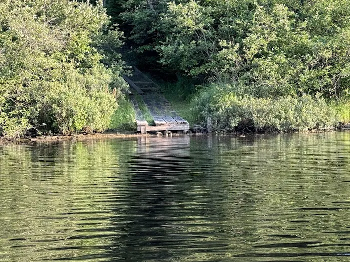 Bear Lake Dispersed Campsite Picture 2