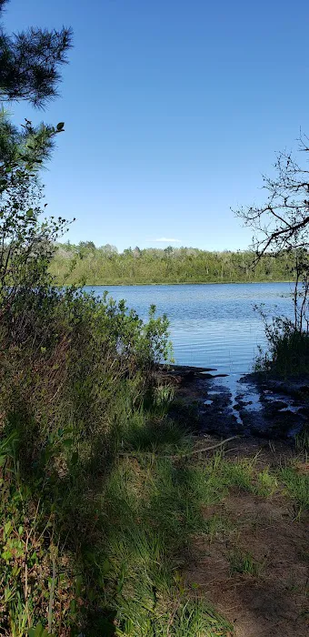 Bear Lake Dispersed Campsite Picture 3