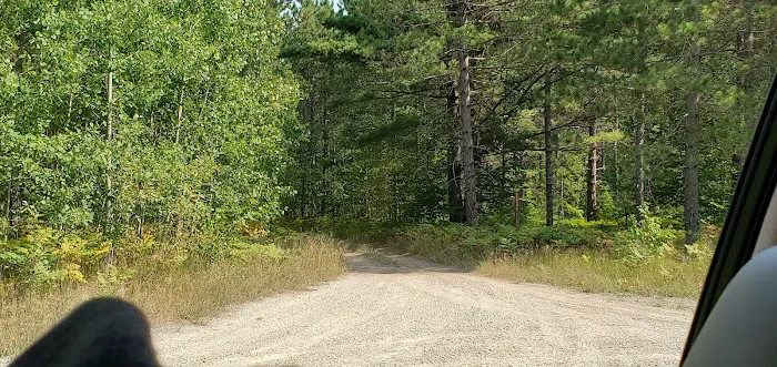 Bear Lake Dispersed Campsite Picture 8