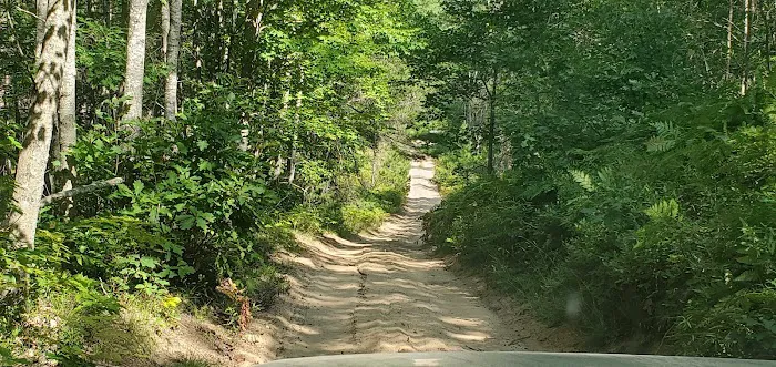 Bear Lake Dispersed Campsite Picture 4