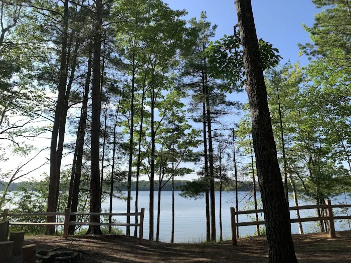 Gooseneck Lake Campsite #4 Picture 2