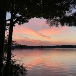 Gooseneck Lake Campsite #4