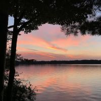 Gooseneck Lake Campsite #4 ico