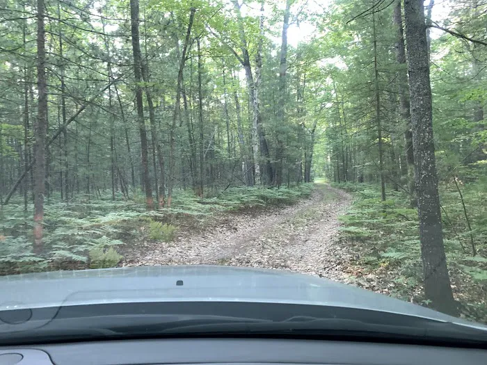 Gooseneck Lake Campsite #4 Picture 3