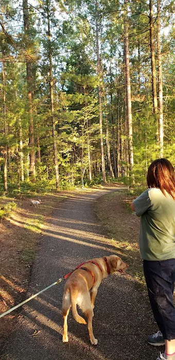 Camp Seven Lake Campground Picture 7