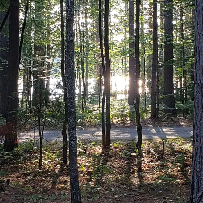 Camp Seven Lake Campground Picture 8