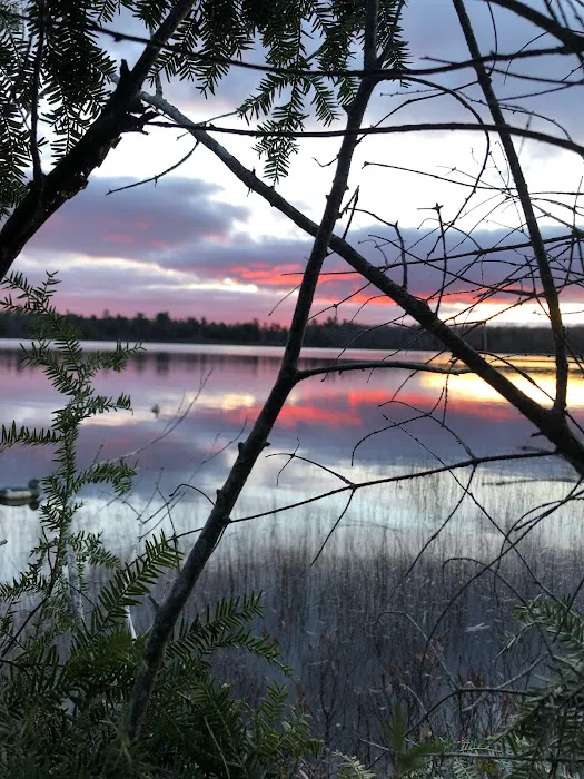 West Branch Resort Picture 2