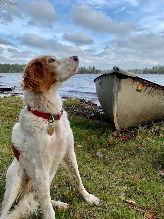 West Branch Resort Picture 1