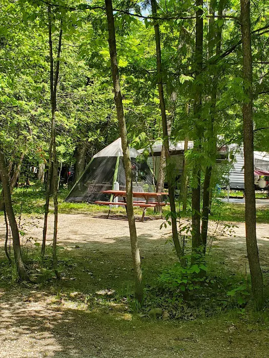 Door County Jellystone Park in Sturgeon Bay Picture 5