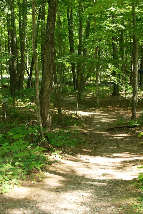 Tranquil Timbers Campground Picture 8