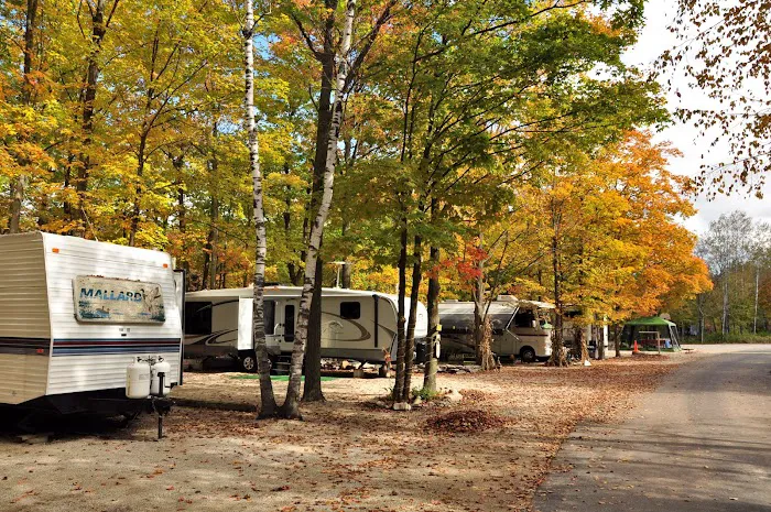 Tranquil Timbers Campground Picture 6