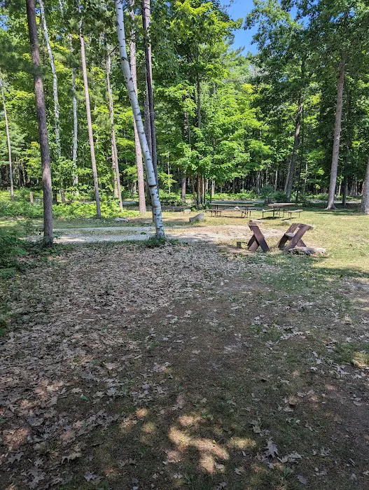 Group Campsite D Picture 5