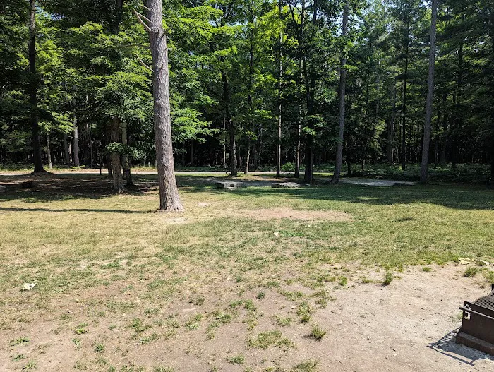 Group Campsite D Picture 3