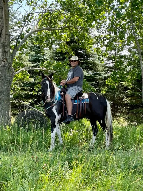 Geitner Homestead Equine Campground Picture 1