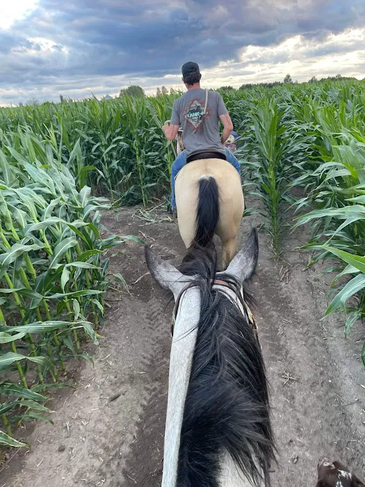 Geitner Homestead Equine Campground Picture 5