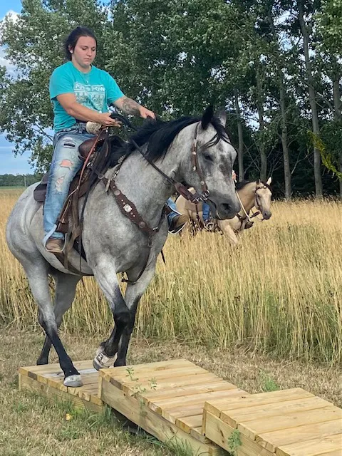 Geitner Homestead Equine Campground Picture 6