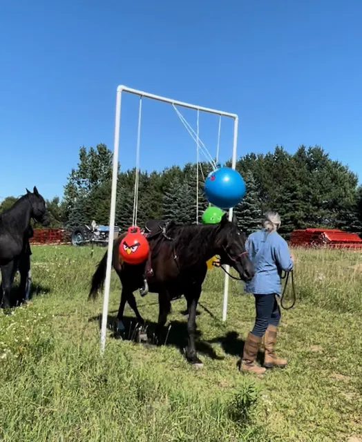 Geitner Homestead Equine Campground Picture 3