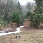 East Fork Indoor Group Campground