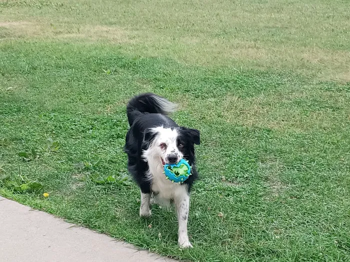 East Fork Indoor Group Campground Picture 5