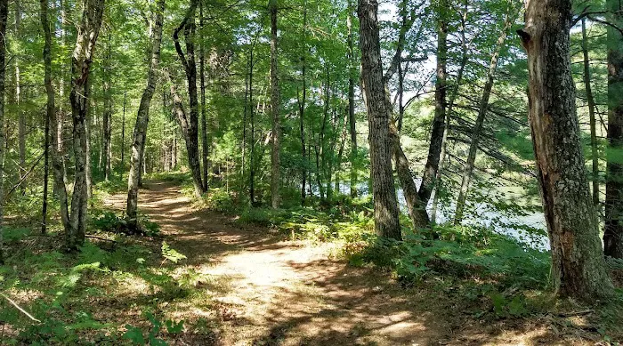 East Fork campground Picture 2