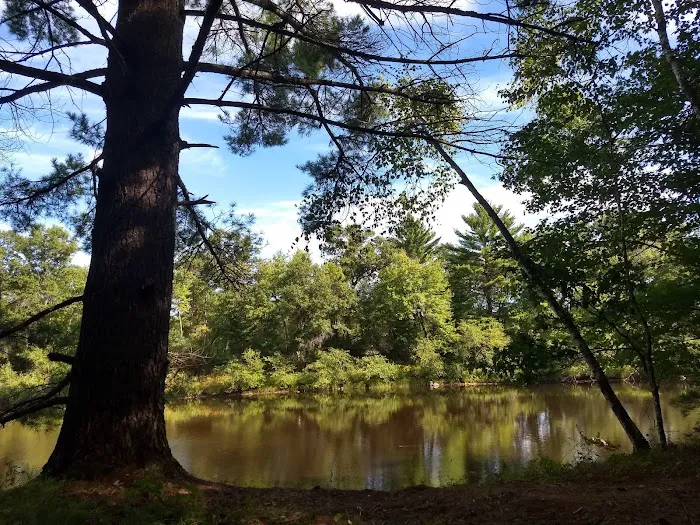 East Fork campground Picture 4