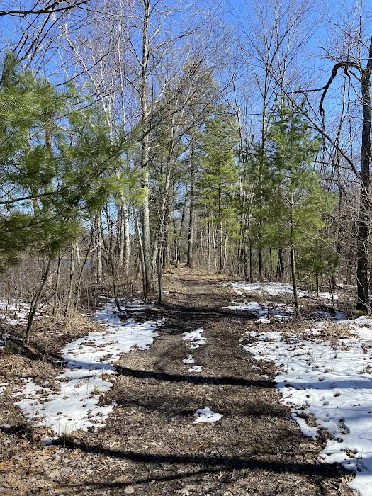 East Fork campground Picture 10