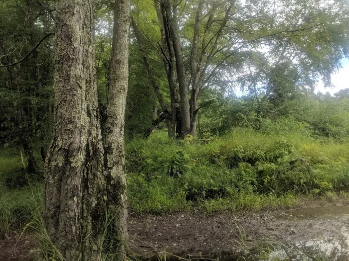 East Fork campground Picture 8