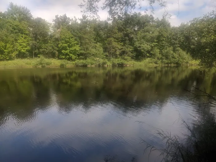 East Fork campground Picture 9