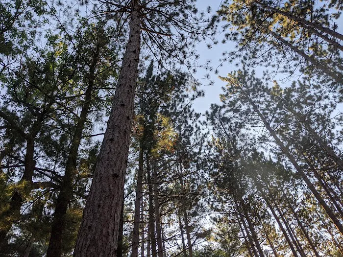 Russell Memorial Park and Campground Picture 4