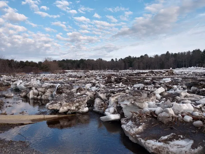 Riviera Resort Cabins & RV Rentals Picture 6