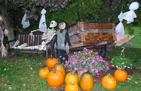 Hixton / Alma Center KOA Holiday Picture 10