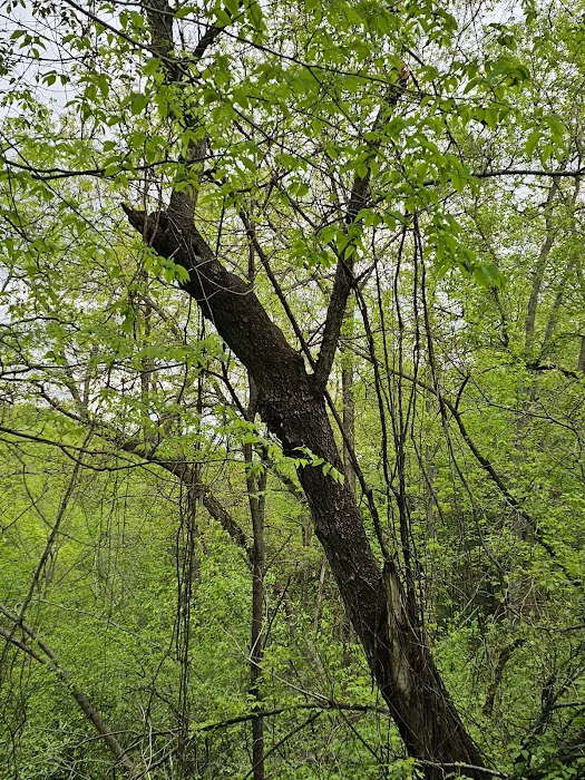 Blair Memorial park Picture 1