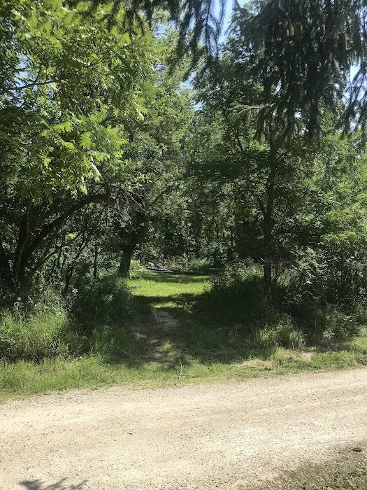 Isinours Station Campground Picture 15