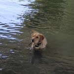 Hidden Valley Campground