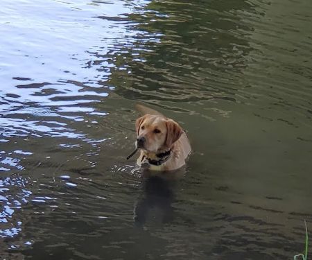 Hidden Valley Campground