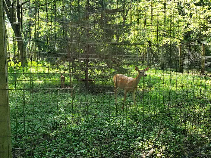 Prairie Island Campground Picture 6