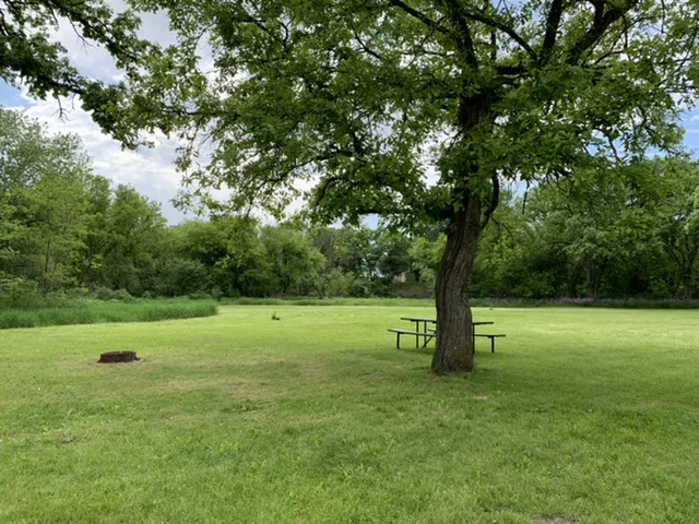 Pietrek Park Camping and RV Picture 2