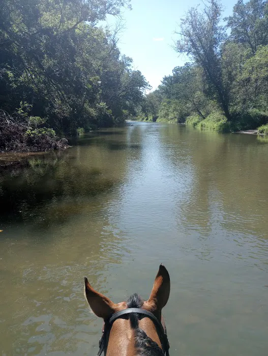 Forestville State Park Equestrian Campground Picture 3