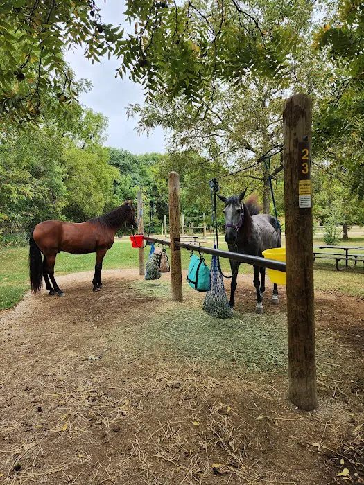 Forestville State Park Equestrian Campground Picture 8
