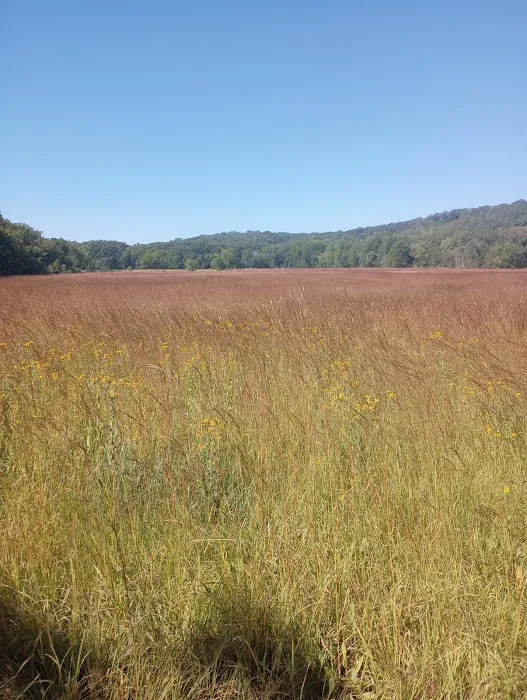 Forestville State Park Equestrian Campground Picture 6