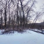 Forestville State Park Equestrian Campground