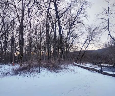 Forestville State Park Equestrian Campground