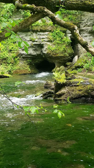 Maple Springs Campground Picture 9