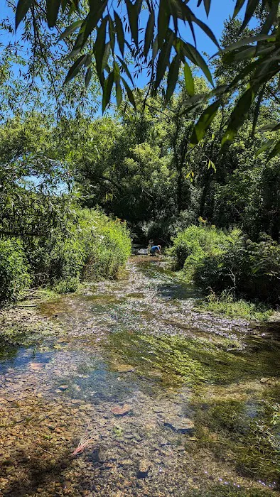 Maple Springs Campground Picture 4